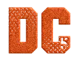 dash cam logo